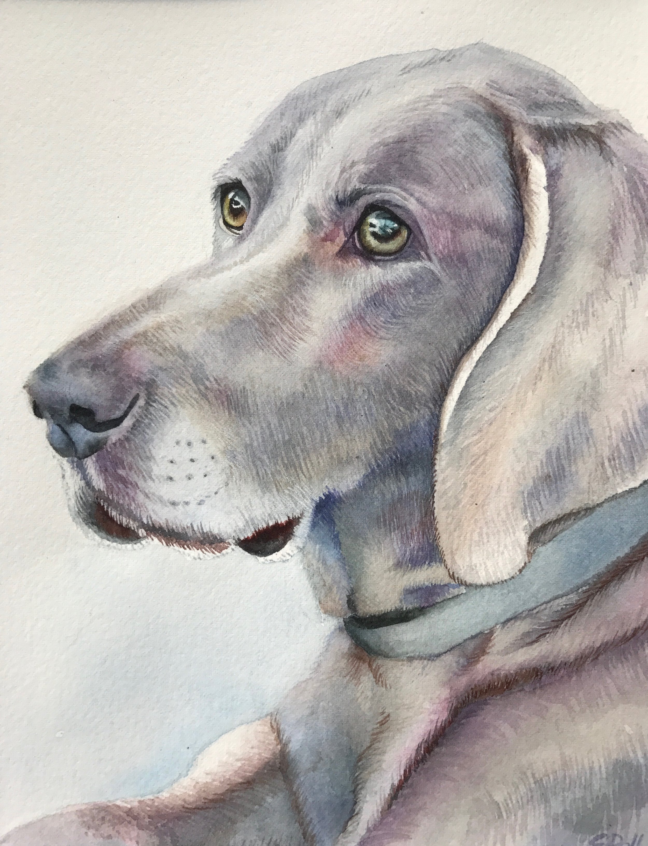 Dog Watercolor 1